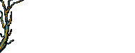 Plan0128.gif