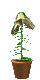 Plan0131.gif