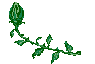 Plan0132.gif