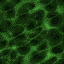Vsim0023.gif