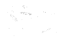 Vsim0033.gif
