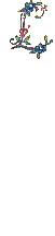 Vsim0053.gif