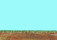 Aire0017.gif