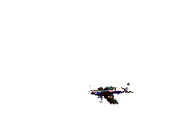 Aire0046.gif