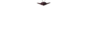 Aire0066.gif