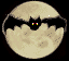 Anin0004.gif