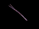 Anin0011.gif