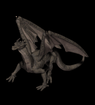Anin0018.gif