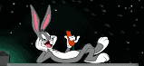Anin0030.gif