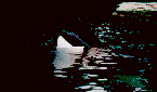 Anin0051.gif