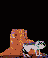 Anin0063.gif