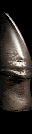Espn0007.gif