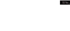 Espn0021.gif
