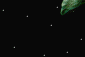 Espn0084.gif