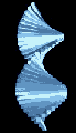 Form0013.gif