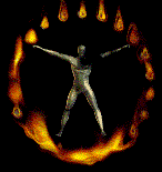 Fuen0008.gif