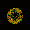 Fuen0023.gif