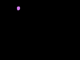 Fuen0066.gif