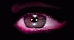 Miemn0005.gif