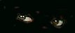 Miemn0012.gif