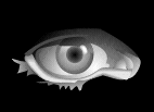 Miemn0013.gif