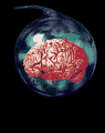Miemn0015.gif
