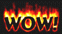 Simn0005.gif