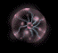 Tecn0027.gif