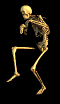 Terr0009.gif