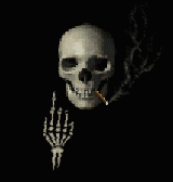 Terr0014.gif
