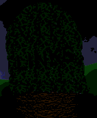 Terr0037.gif