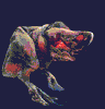Terr0039.gif