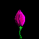 Varn0031.gif