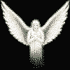 Varn0032.gif