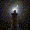 Varn0084.gif
