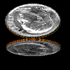 Varn0088.gif