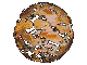 Esfe0027.gif