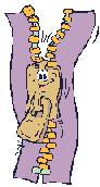 Ropa0025.gif