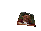 Varo0073.gif